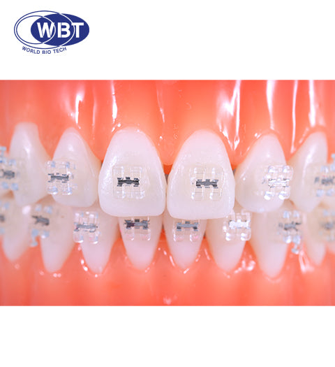 Lucid Resin Bracket (Roth 022)